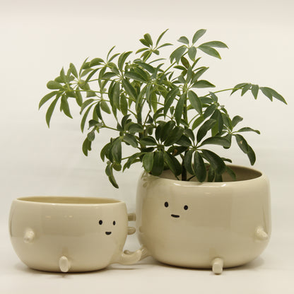 Floppy Planters