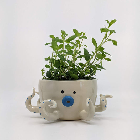 Perched Octoz Planter