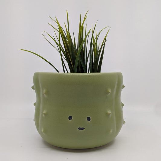 Cactus Plant Pot