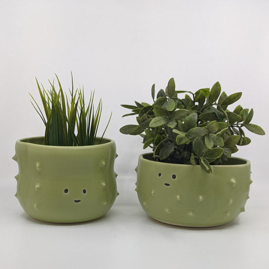 Cactus Plant Pot