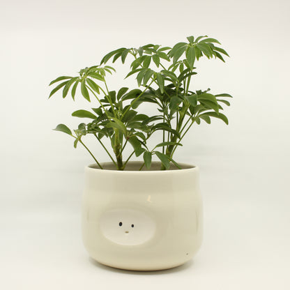 Sittin' Pretty Plant Pot & Utensil Jar