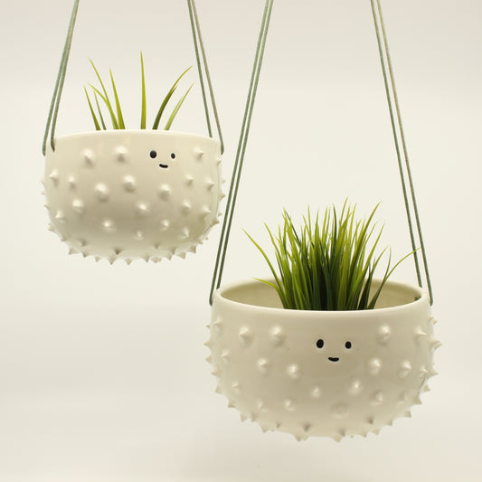 Spiky Hanging Planter