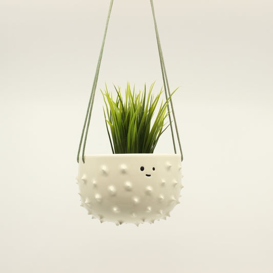 Spiky Hanging Planter