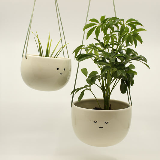 Classic Companion Hanging Planter